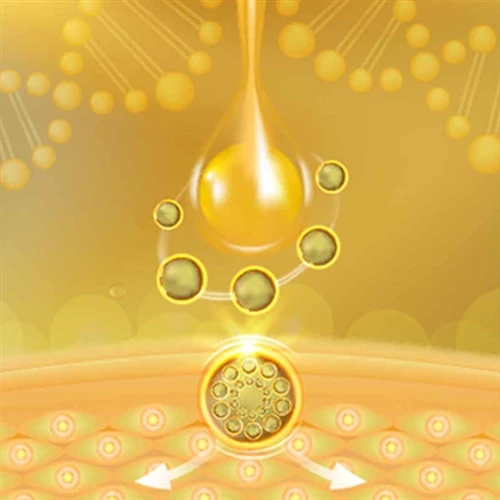 Fonksyon kle nan peptides kosmetik lipofil